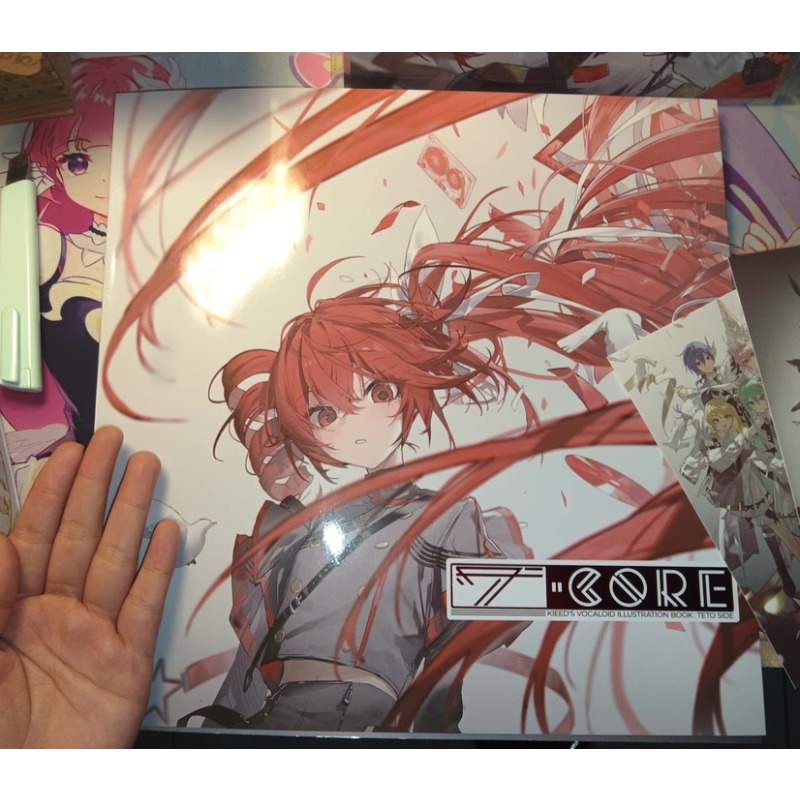 Libro de Ilustraciones de Kasa - Anime Merchandise In Chinese reseña y precio